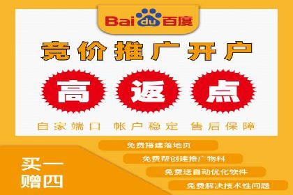 案例分析：SEM优化助力电商销量增长